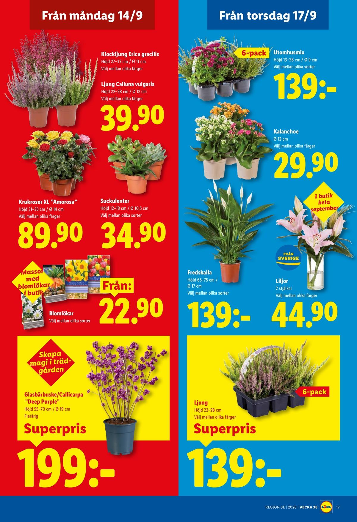 Lidl reklamblad sida 20
