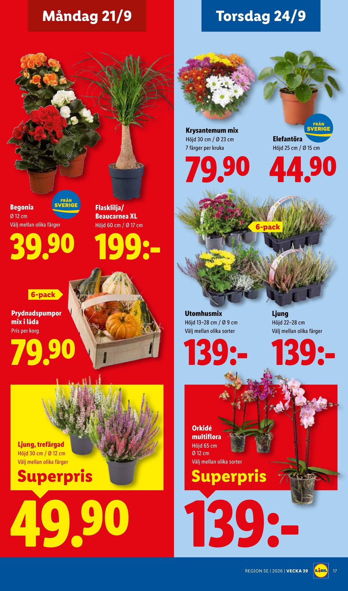 Lidl erbjudanden nästa vecka sida 20